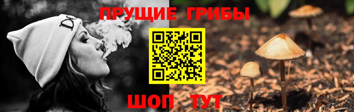 Галлюциногенные грибы Cubensis  Вход с VPN  Чебоксары 