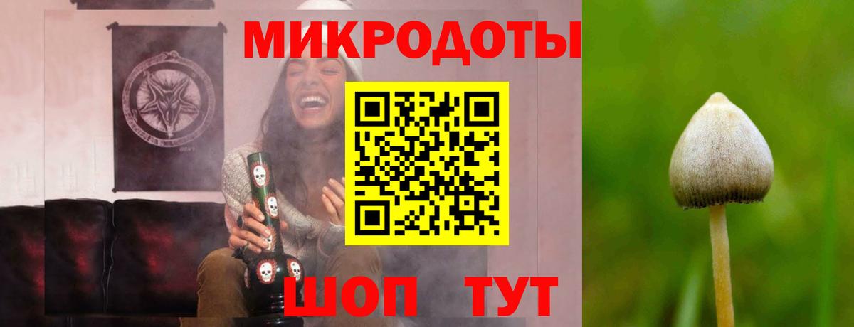 Галлюциногенные грибы GOLDEN TEACHER Чебоксары